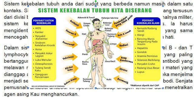 Sistem Kekebalan Tubuh