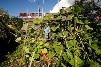 Community-Gardening.aspx