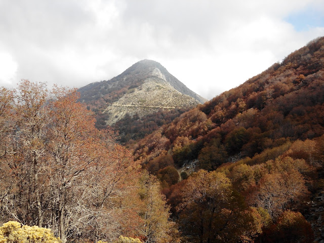 Cerro El Roble Chile