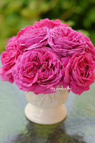 trandafiri roz ciclamen vintage