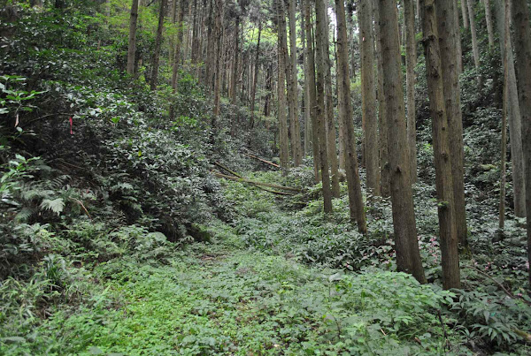 眞弓神社入口