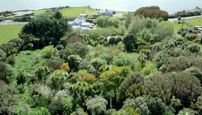 New-Zealand-food-forest.png.662x0_q70_crop-scale