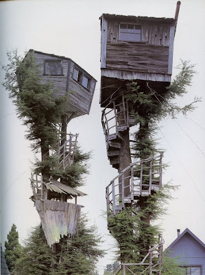 Rumah Pohon Paling Ekstrim Di Dunia most extreme tree house