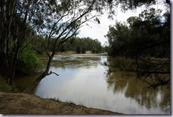 Murrumbidgee River at Pipers Reserve Camp Area