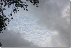 IMG_2054