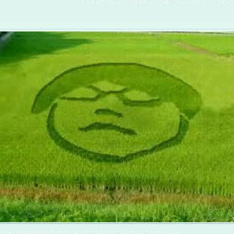 funny crop circle patterns