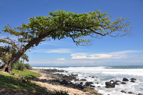 Suasana alami di Pantai rancabuaya