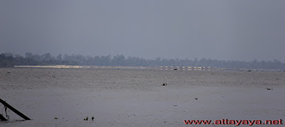 Mengejar Bono Sungai Kampar