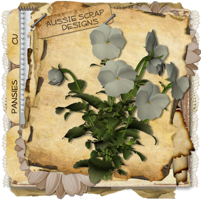 http://aussiescraps.blogspot.com/2009/09/pansies-freebie-cu.html