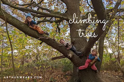 forest school activities climbing trees