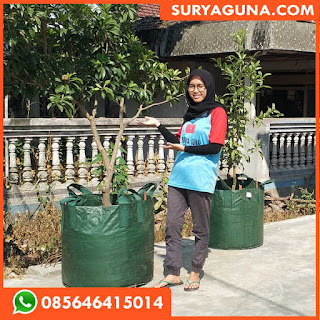 Planter Bag 200 Liter Hijau