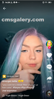 Hair Color Filter Tiktok - How to get Harajaku Hair Filter Tiktok