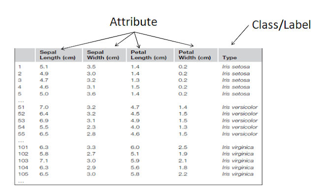 Data Mining