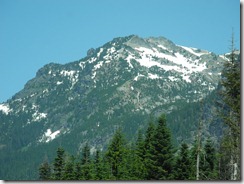 DSCN0534