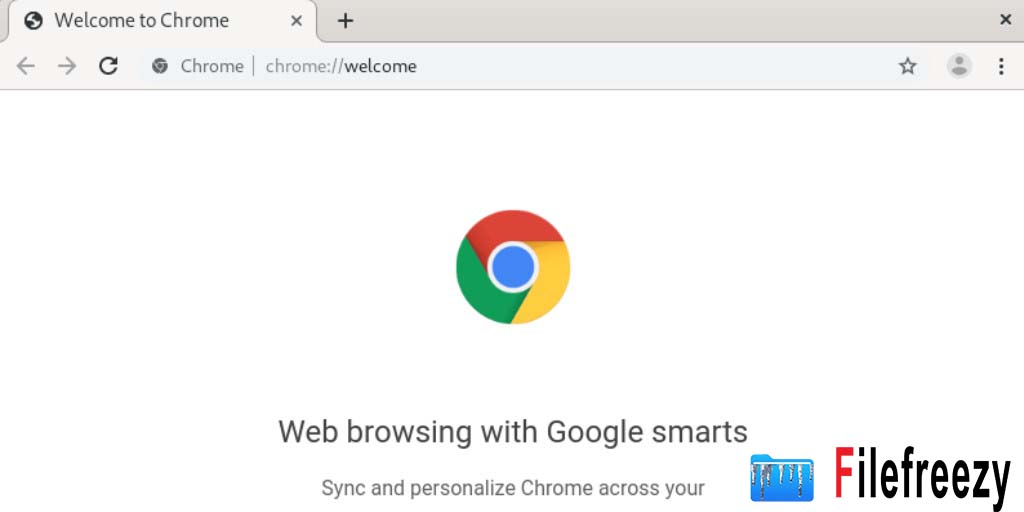 Chrome Standalone browser offline installer free download by filefreezy