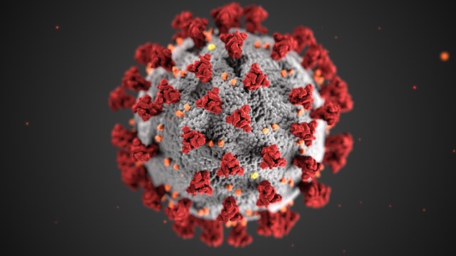 The next coronavirus epidemic of epidemics is the United States: WHO