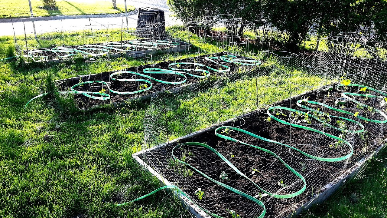 Garden Irrigation Systems Diy