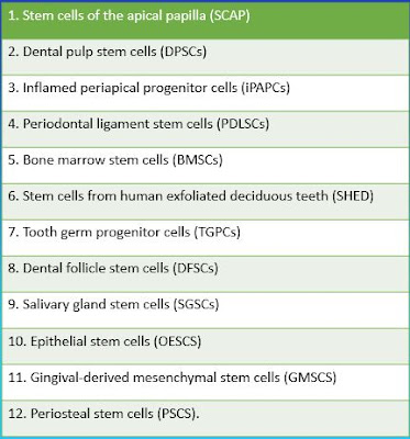 TYPES OF STEM CELLS
