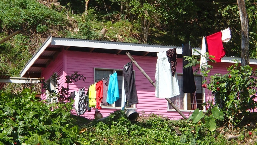 P7073550
