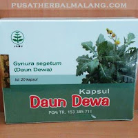 Kapsul Blister Daun Dewa