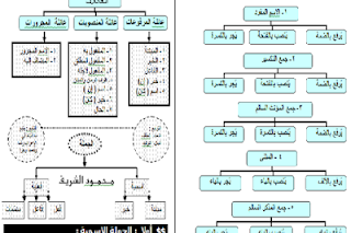 شرح منهج النحو بالكامل للصف الأول الثانوي الجديد 2016 