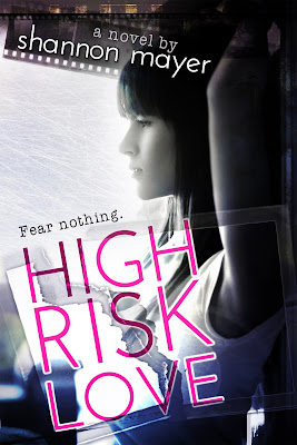 High Risk Love by Shannon Mayer