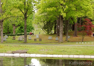 19. pond-kab