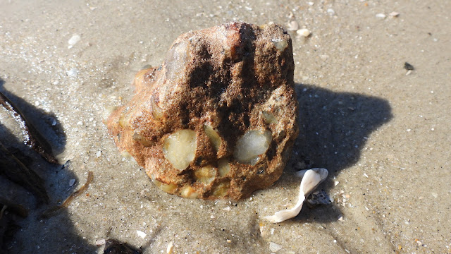 Jekyll Island