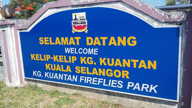 Kelip-Kelip Kampung Kuantan