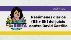 Resúmenes diarios del juicio contra David Castillo