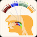 Classification of vowels