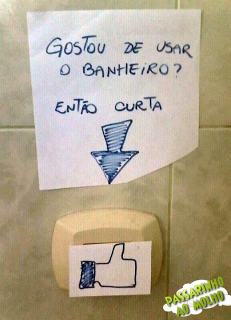 curtir descarga, vaso sanitário