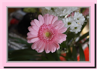 JPEG Gül Ve Çiçek Resimleri | JPEG Rose and Flowers | Blumen |V250620201710P5