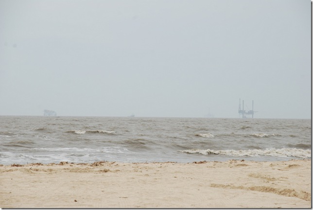 03-14-11 D Rutherford Beach - SR27 002