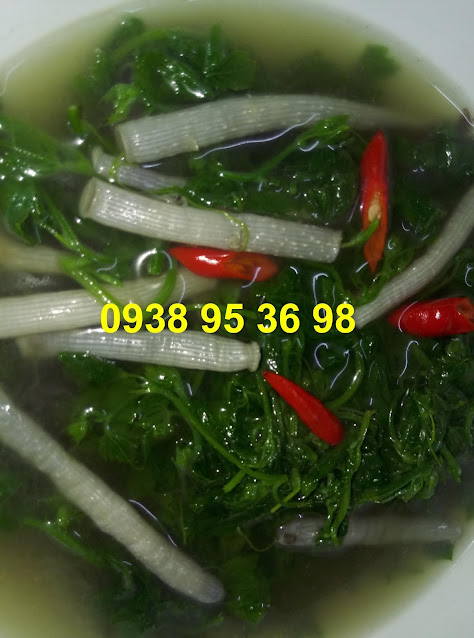 Sỉ lẻ sá sùng, trùn biển giá tốt 0938 95 36 98.  Mua bán sá sùng tươi ngon giá rẻ tại Sài Gòn, trùn biển tươi giá tốt, giá bán sá sùng rẻ nhất tại hải sản Hoài Nhơn, mua sá sùng tươi ngon giá rẻ tại đây, trùn biển tươi sạch cát giá rẻ, cung cấp sỉ lẻ sá sùng tươi làm sạch, sá sùng tươi rẻ, trùn biển ngon làm sạch.  Các món ngon từ sá sùng, trùn biển: cháo sá sùng - trùn biển, sá sùng - trùn biển nướng, trùn biển - sá sùng nấu lẩu, sá sùng - trùn biển xào các món, canh sá sùng - trùn biển, súp trùn biển - sá sùng,...  Hoài Nhơn 0938 95 36 98