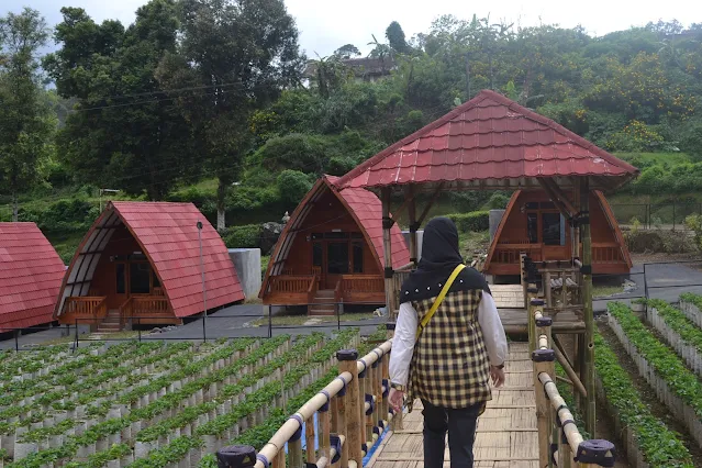 Booking Villa Dusun Strawberry Walini Tipe Kalibret Januari 2024: Asyik dan Menyenangkan