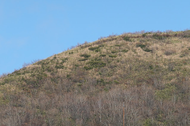 鳥取県日野郡江府町御机 鏡ヶ成高原 象山の眺望
