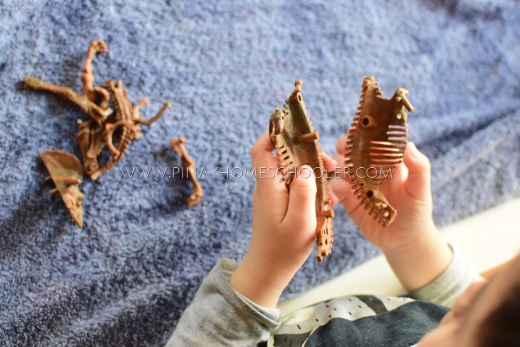 ASSEMBLING THE DINOSAUR BONES