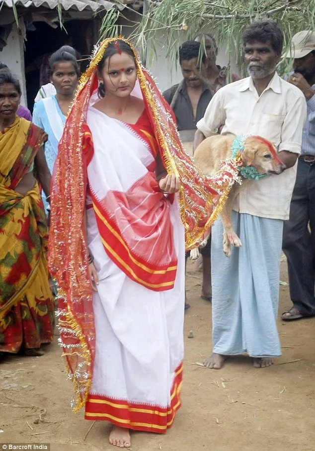 the Indian Girl forced to marry DOG to fend of Evil Spell