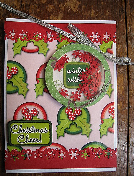 Trish's Cards Feb 2011 062