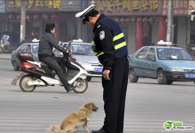 Dog And The Policeman Seen On lolpicturegallery.blogspot.com