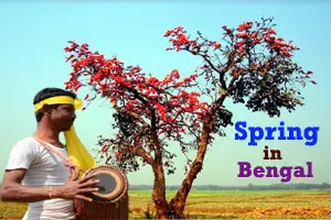 Spring in Bengal