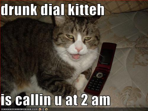 Cute Cats Picture - lolcats funny cat picture - funny cat pictures-funny-pictures-your-cat-is-drunk-dialing-you