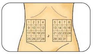 zone doctor jonadoctor health and business, Illustration of Medication Injections in the Abdominal Wall Muscle with a syringe without needles Comfort In