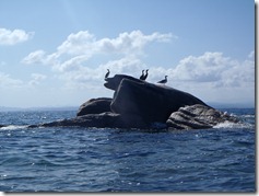 P9230051
