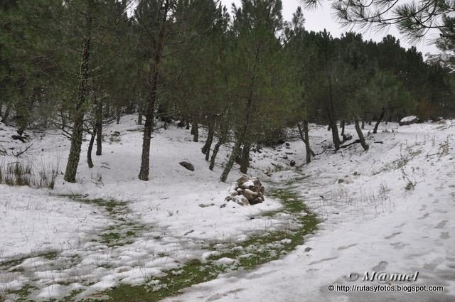 Circular nevada Grazalema - Llanos del Endrinal - Puerto de las Presillas - Puerto del Boyar