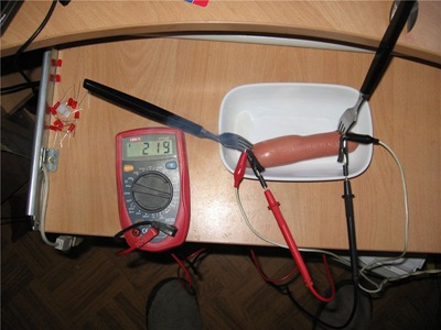 salsicha2