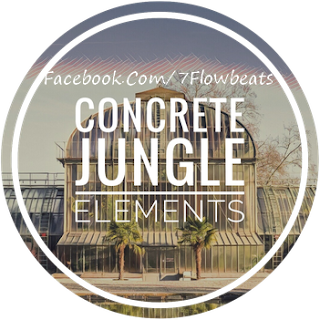 Download Concrete Jungle Elements (WAV & Kontakt Format) 