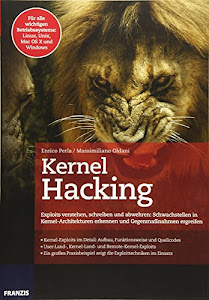 Kernel Hacking: Exploits verstehen, schreiben und abwehren: Schwachstellen in Kernel-Architekturen erkennen und Gegenmaßnahmen ergreifen