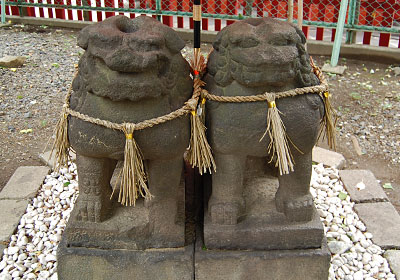 浅草神社にある狛犬